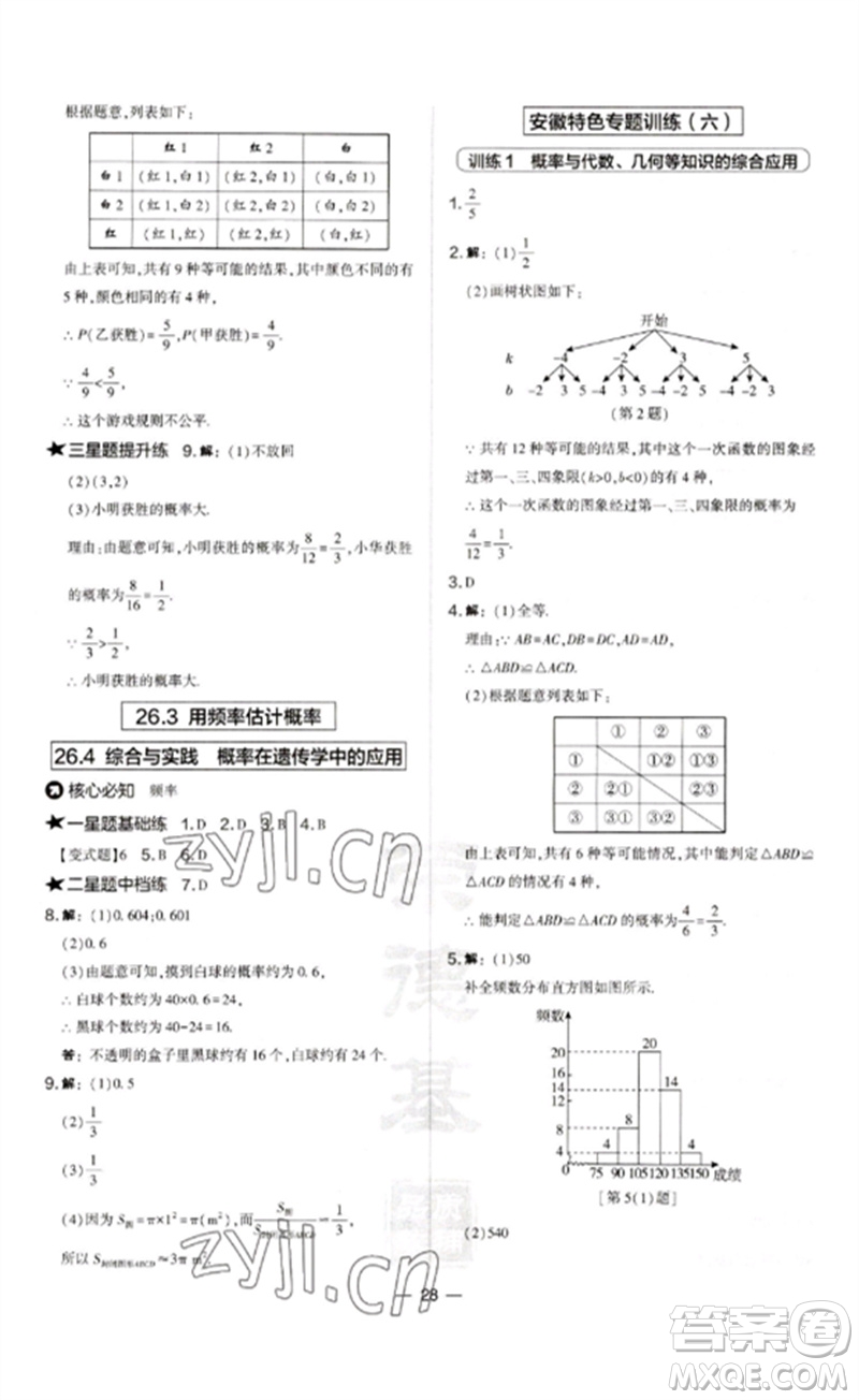 山西教育出版社2023點撥訓(xùn)練九年級數(shù)學(xué)下冊滬科版安徽專版參考答案