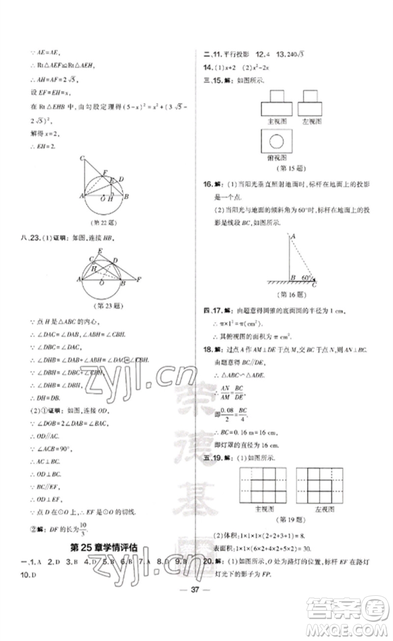 山西教育出版社2023點撥訓(xùn)練九年級數(shù)學(xué)下冊滬科版安徽專版參考答案