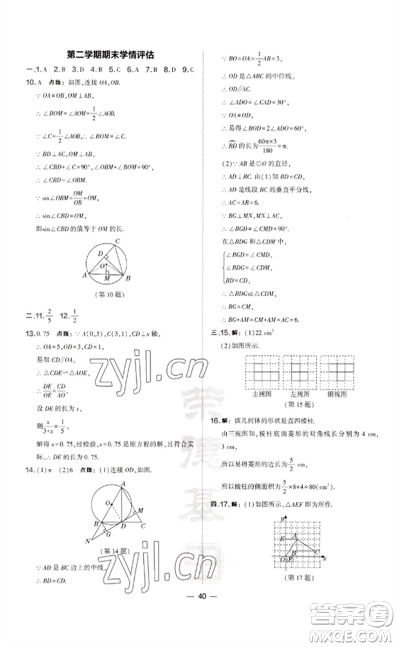 山西教育出版社2023點撥訓(xùn)練九年級數(shù)學(xué)下冊滬科版安徽專版參考答案