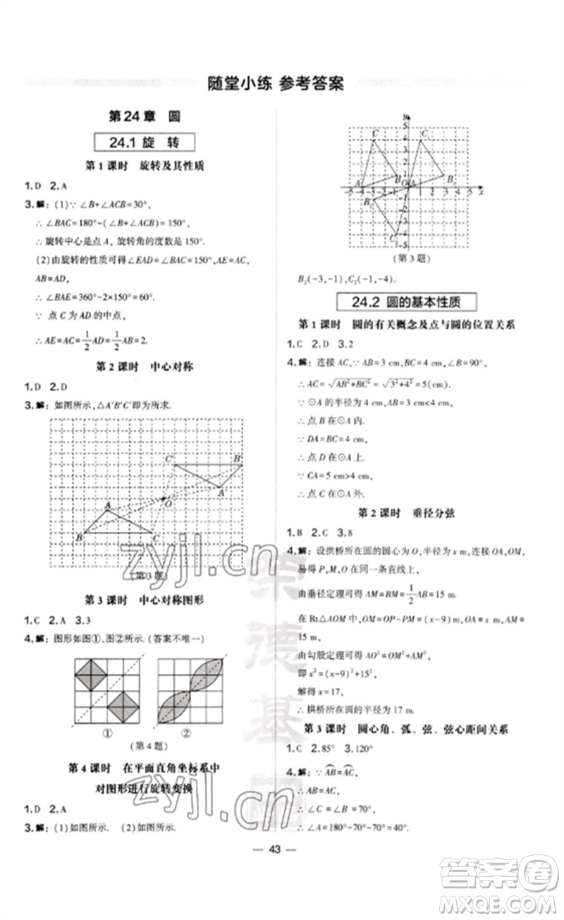 山西教育出版社2023點撥訓(xùn)練九年級數(shù)學(xué)下冊滬科版安徽專版參考答案