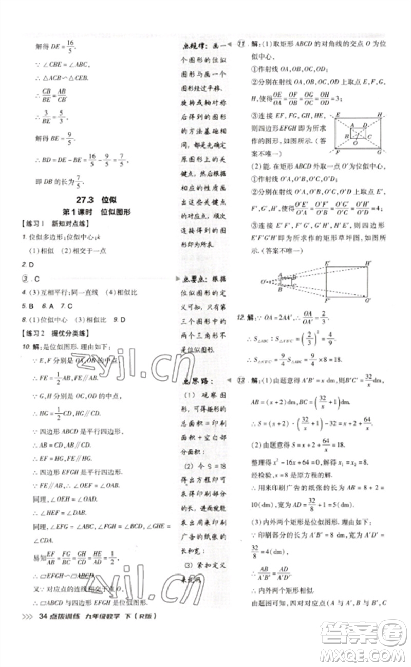 吉林教育出版社2023點撥訓(xùn)練九年級數(shù)學(xué)下冊人教版參考答案