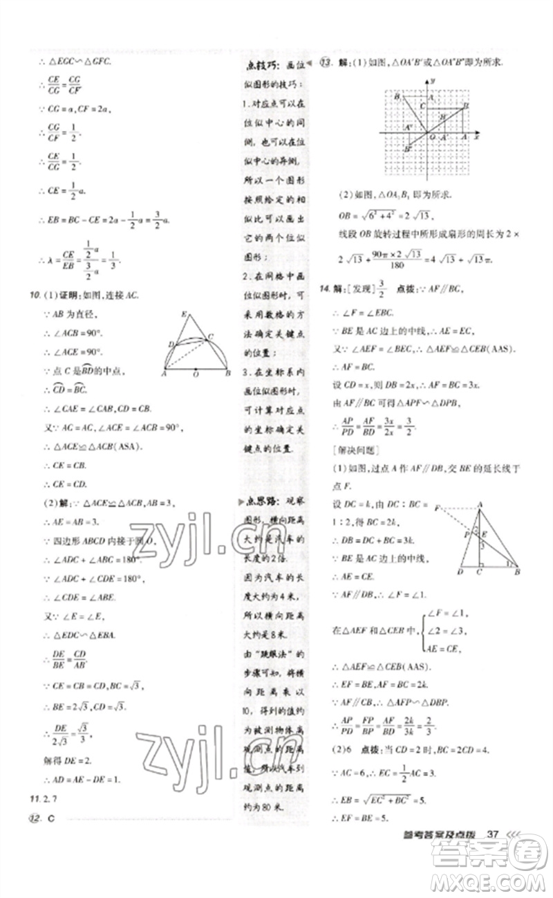 吉林教育出版社2023點撥訓(xùn)練九年級數(shù)學(xué)下冊人教版參考答案