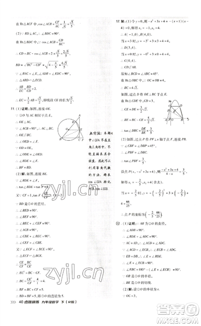 吉林教育出版社2023點撥訓(xùn)練九年級數(shù)學(xué)下冊人教版參考答案