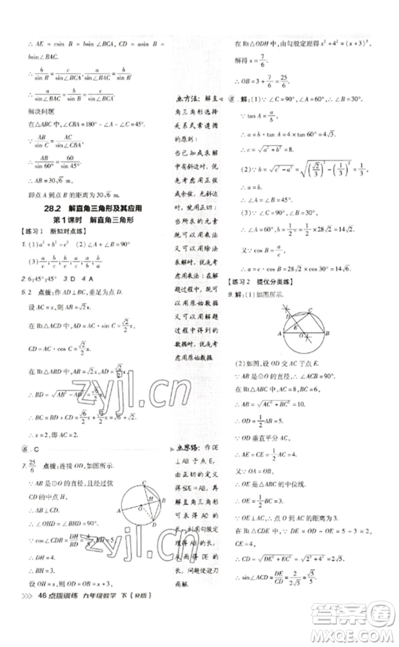 吉林教育出版社2023點撥訓(xùn)練九年級數(shù)學(xué)下冊人教版參考答案