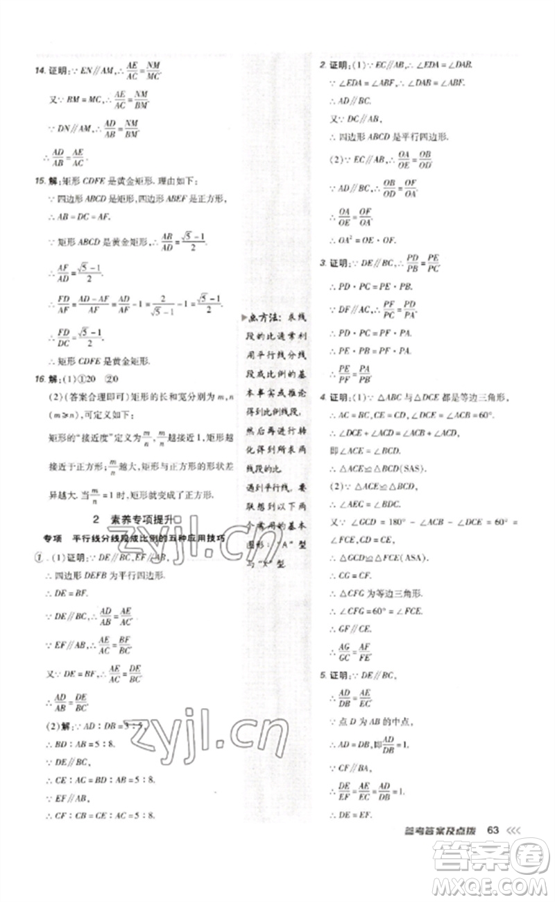 吉林教育出版社2023點撥訓(xùn)練九年級數(shù)學(xué)下冊人教版參考答案