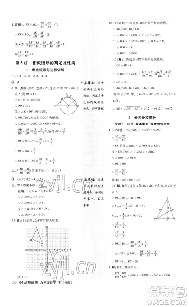 吉林教育出版社2023點撥訓(xùn)練九年級數(shù)學(xué)下冊人教版參考答案