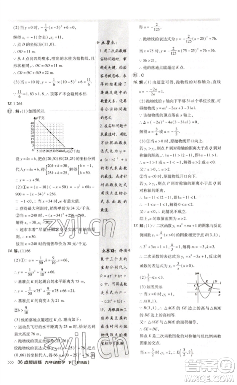 安徽教育出版社2023點撥訓練九年級數(shù)學下冊北師大版參考答案