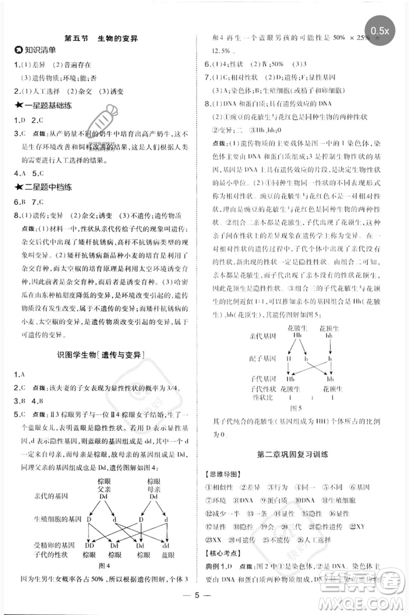 吉林教育出版社2023點撥訓練八年級生物下冊人教版參考答案