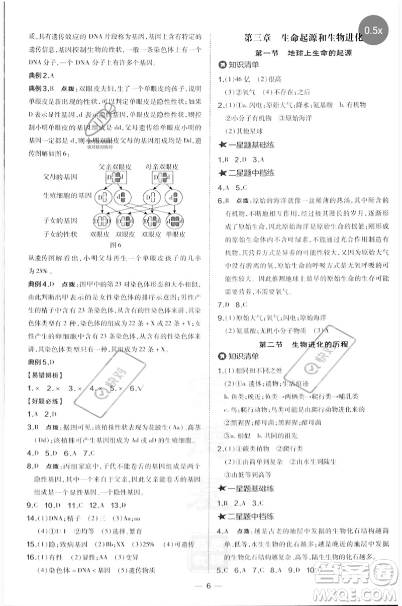 吉林教育出版社2023點撥訓練八年級生物下冊人教版參考答案