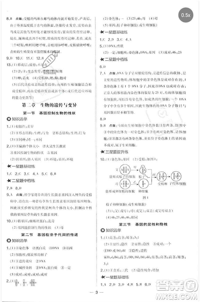 吉林教育出版社2023點撥訓練八年級生物下冊人教版參考答案