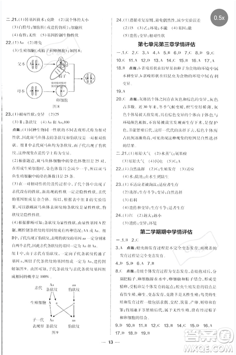 吉林教育出版社2023點撥訓練八年級生物下冊人教版參考答案