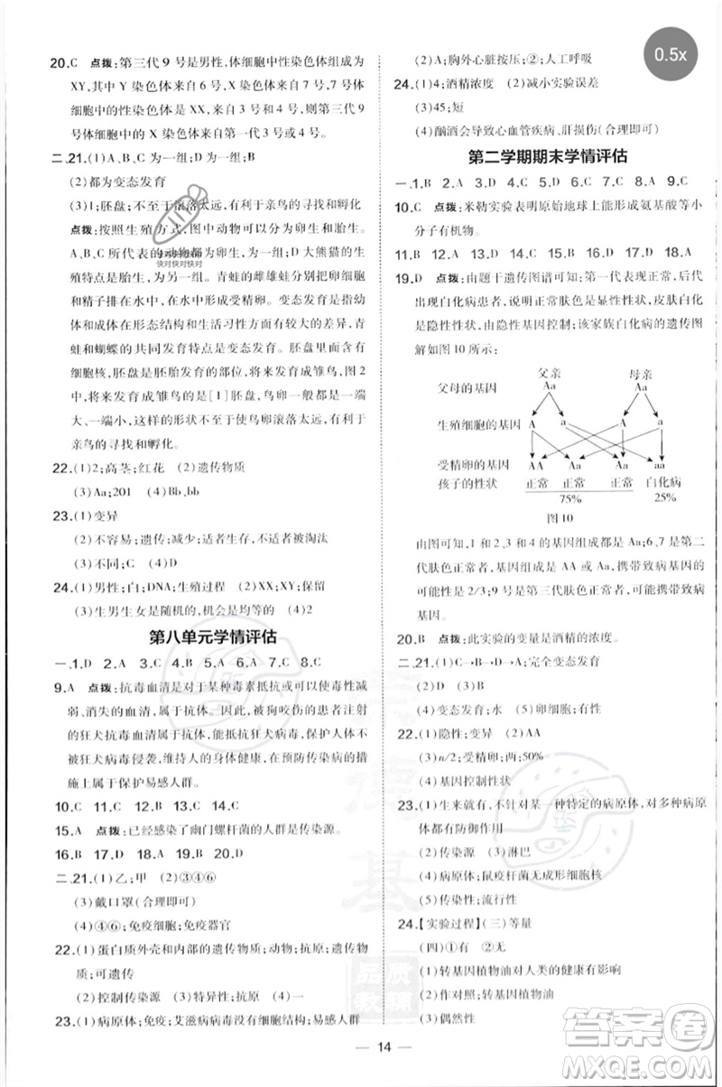 吉林教育出版社2023點撥訓練八年級生物下冊人教版參考答案