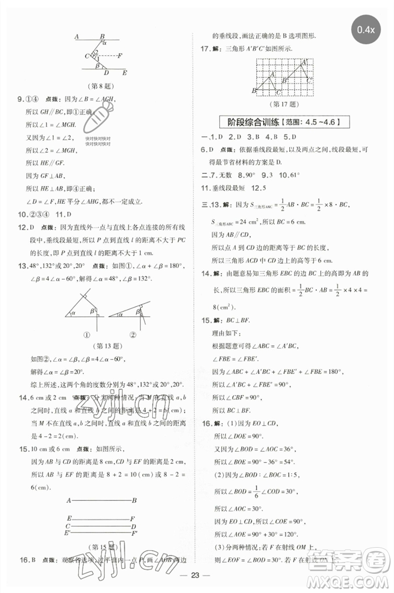 山西教育出版社2023點撥訓練七年級數(shù)學下冊湘教版參考答案