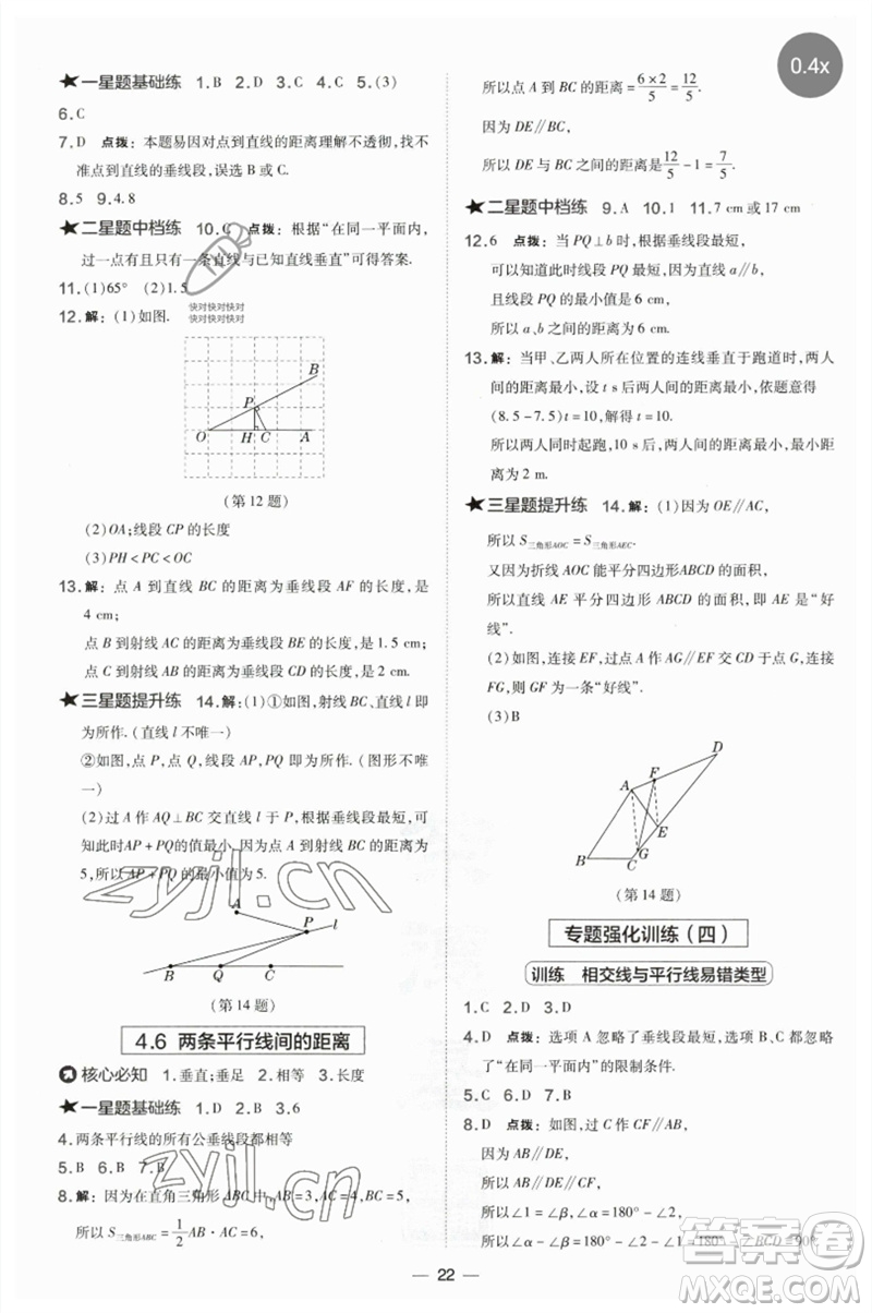 山西教育出版社2023點撥訓練七年級數(shù)學下冊湘教版參考答案