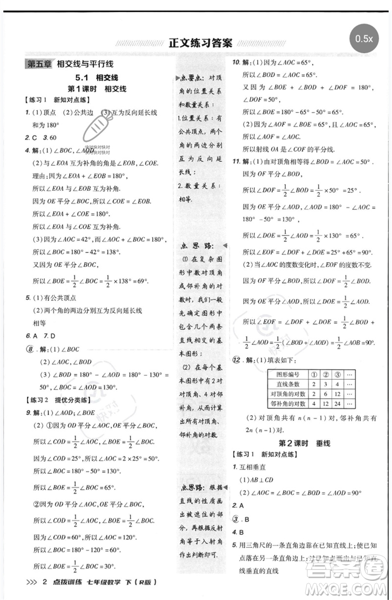 吉林教育出版社2023點撥訓練七年級數(shù)學下冊人教版參考答案