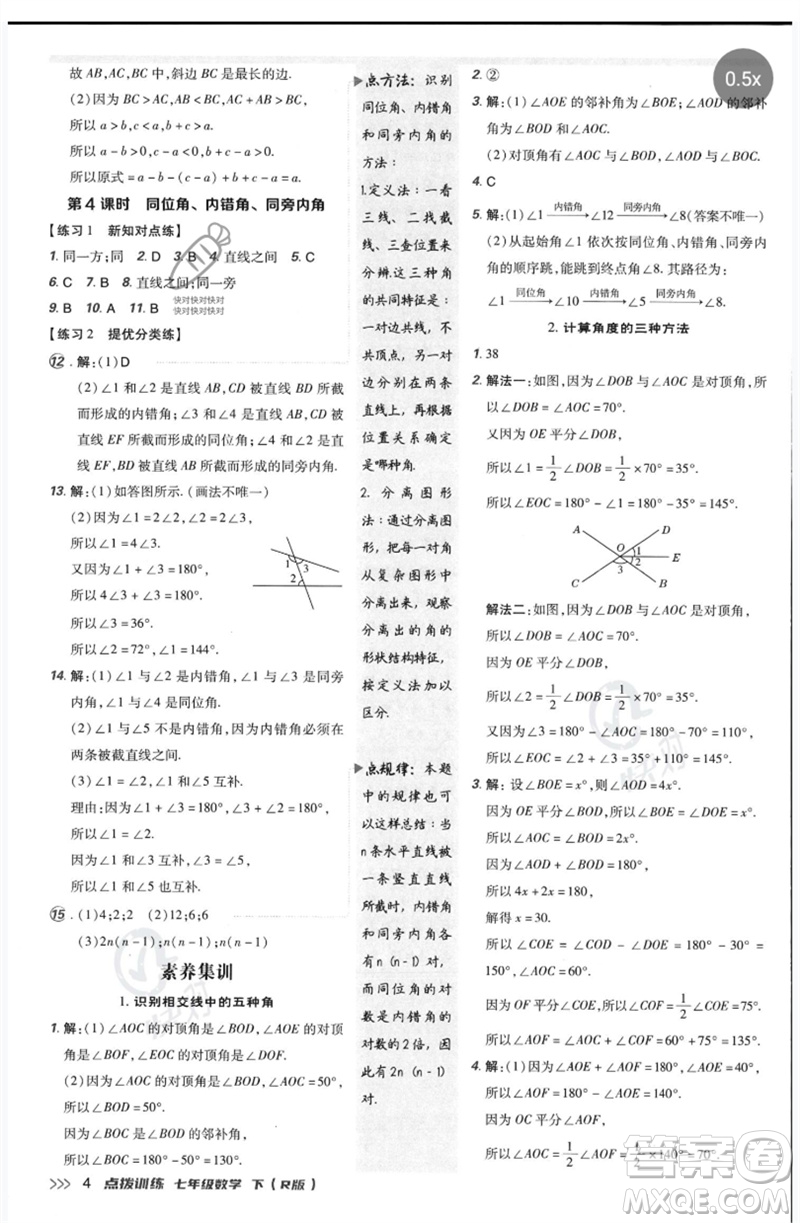 吉林教育出版社2023點撥訓練七年級數(shù)學下冊人教版參考答案