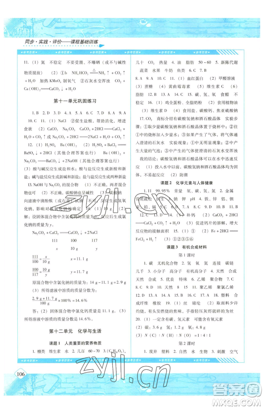 湖南少年兒童出版社2023同步實踐評價課程基礎(chǔ)訓練九年級下冊化學人教版參考答案