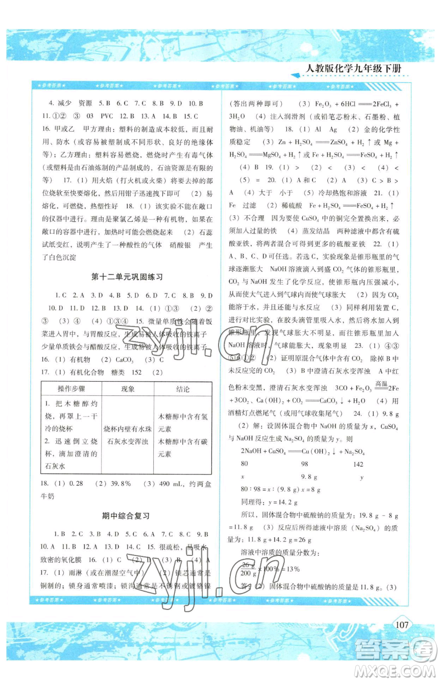 湖南少年兒童出版社2023同步實踐評價課程基礎(chǔ)訓練九年級下冊化學人教版參考答案