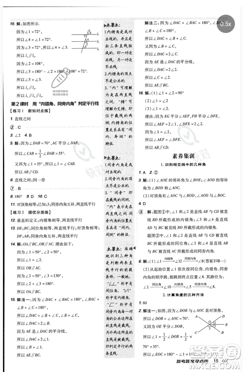 安徽教育出版社2023點撥訓(xùn)練七年級數(shù)學(xué)下冊北師大版參考答案