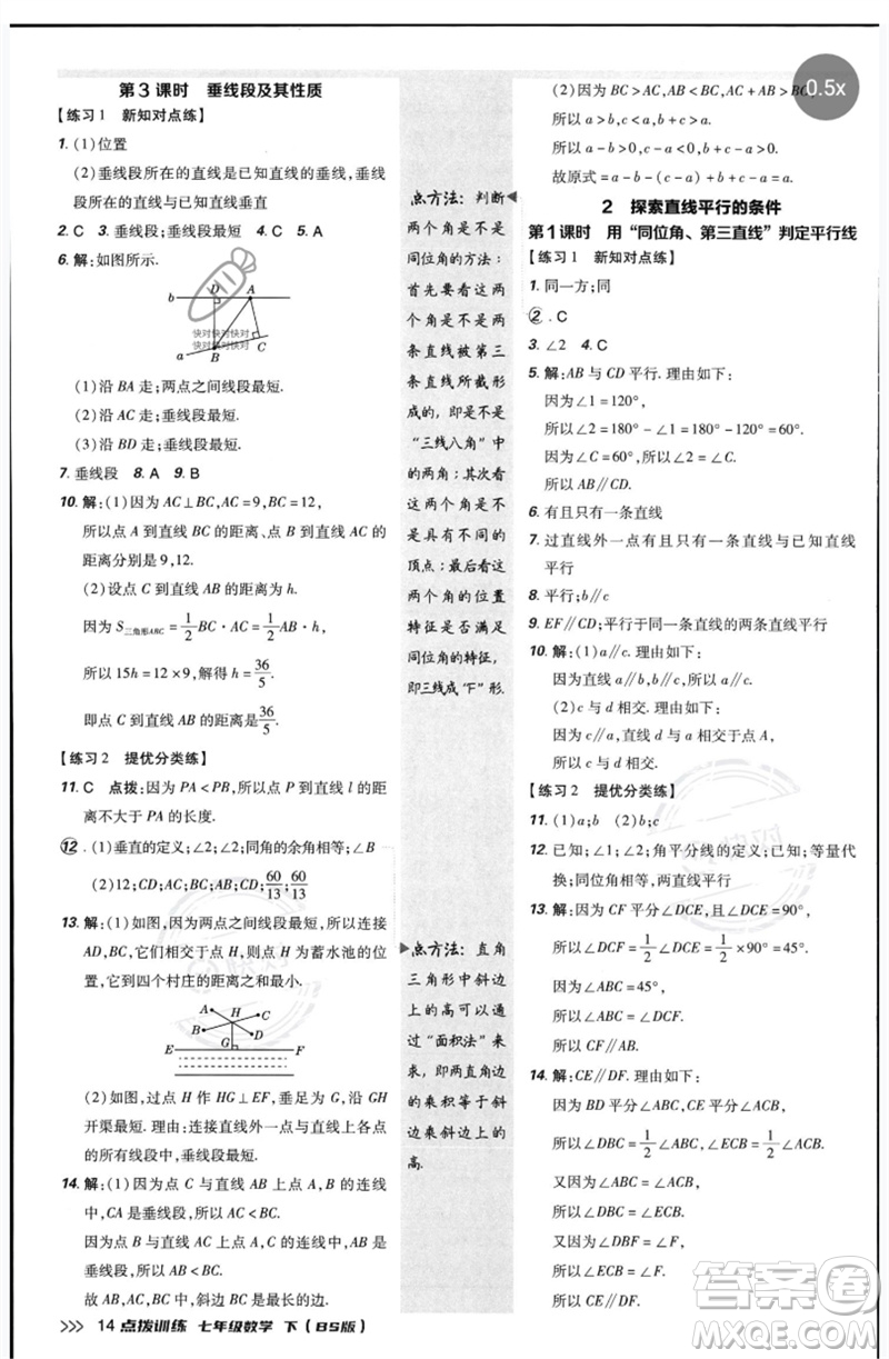 安徽教育出版社2023點撥訓(xùn)練七年級數(shù)學(xué)下冊北師大版參考答案