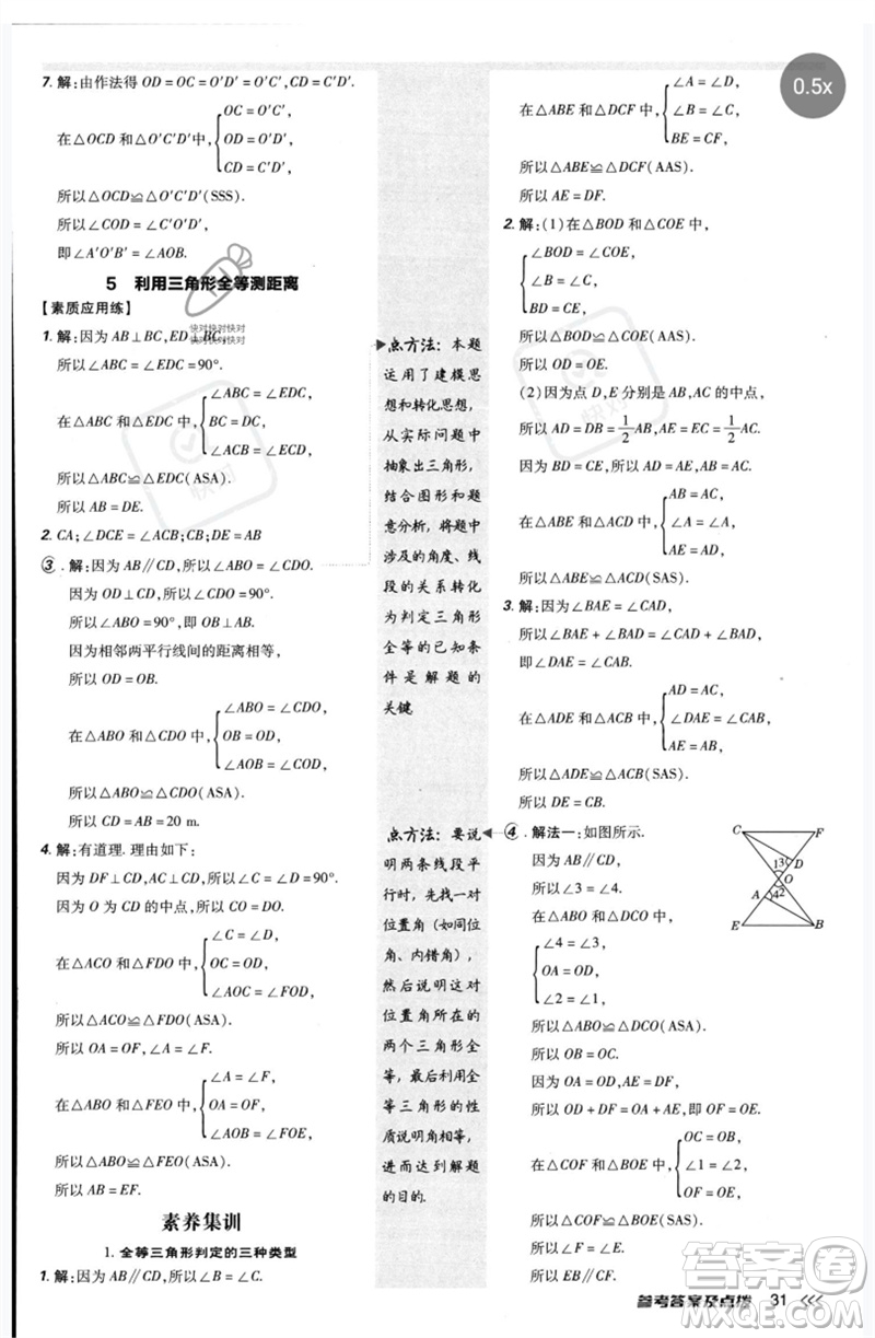 安徽教育出版社2023點撥訓(xùn)練七年級數(shù)學(xué)下冊北師大版參考答案