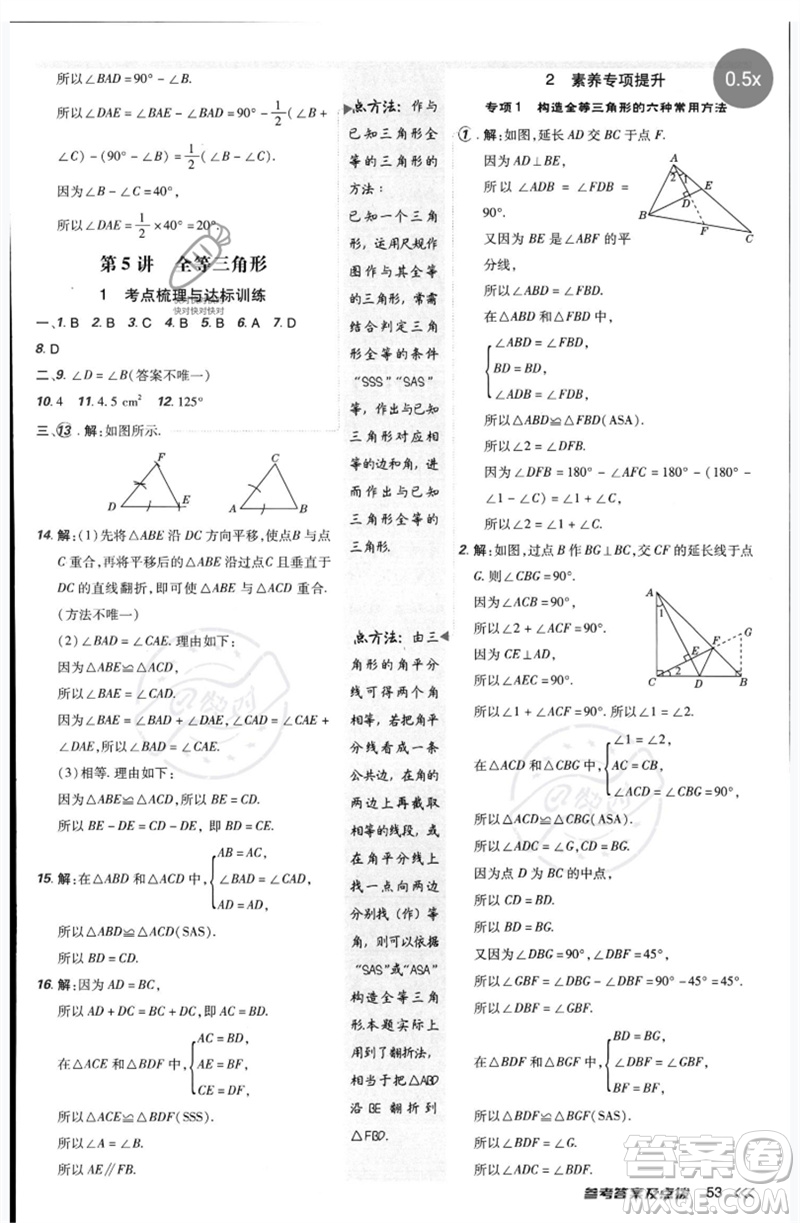 安徽教育出版社2023點撥訓(xùn)練七年級數(shù)學(xué)下冊北師大版參考答案