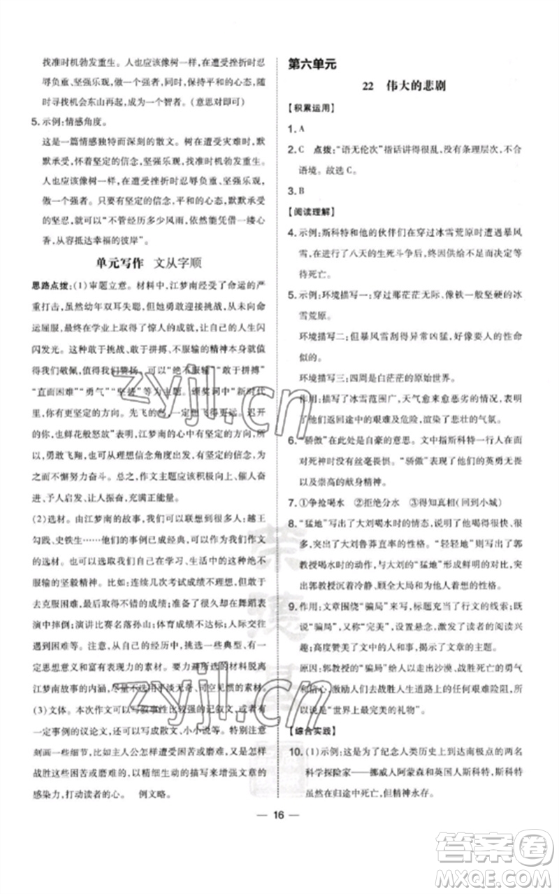 山西教育出版社2023點(diǎn)撥訓(xùn)練七年級(jí)語文下冊(cè)人教版河南專版參考答案