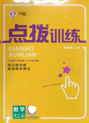 山西教育出版社2023點撥訓練七年級數(shù)學下冊湘教版參考答案