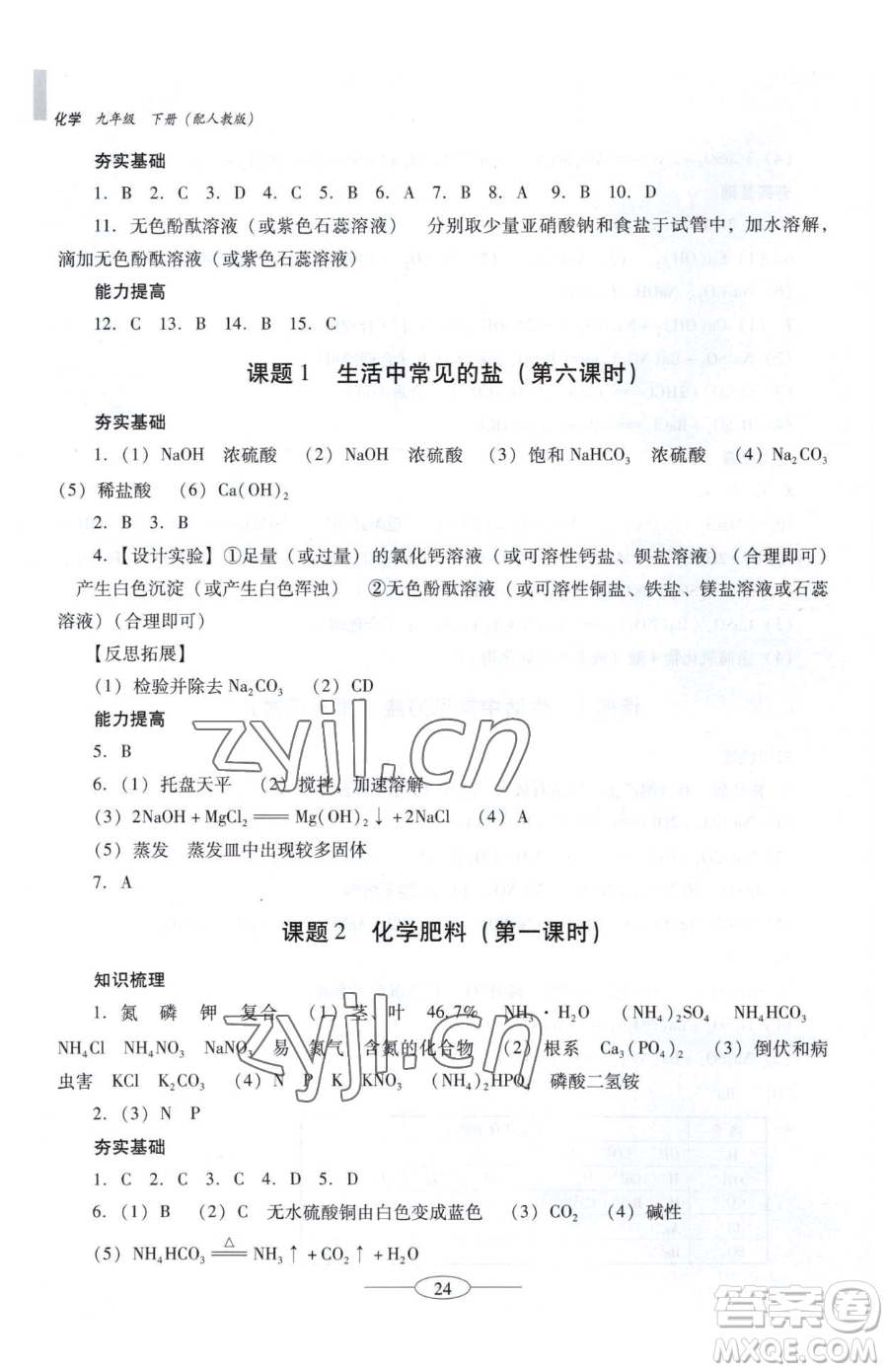 廣東教育出版社2023南方新課堂金牌學(xué)案九年級(jí)下冊(cè)化學(xué)人教版珠海專版參考答案