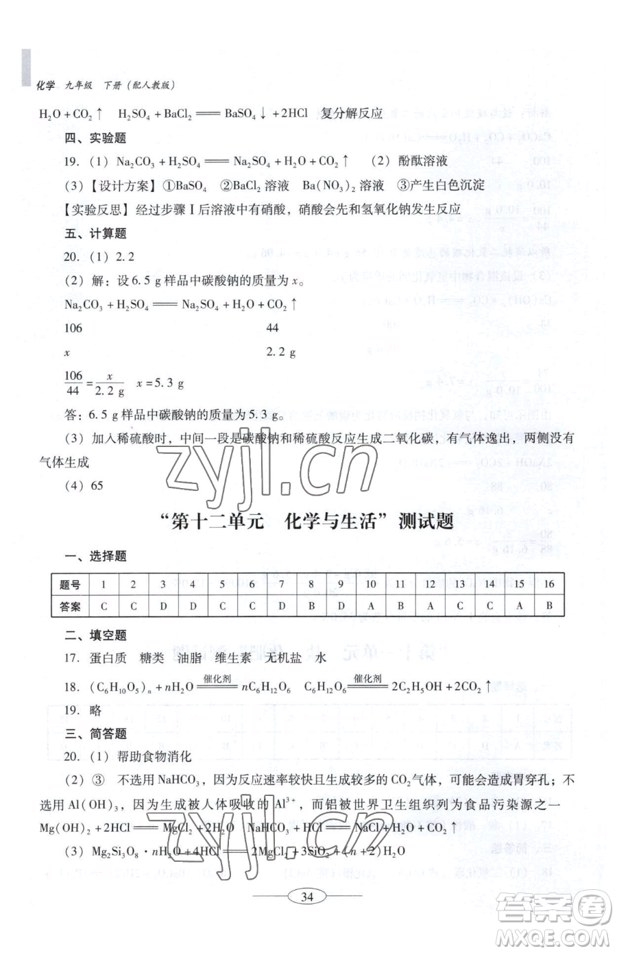 廣東教育出版社2023南方新課堂金牌學(xué)案九年級(jí)下冊(cè)化學(xué)人教版珠海專版參考答案