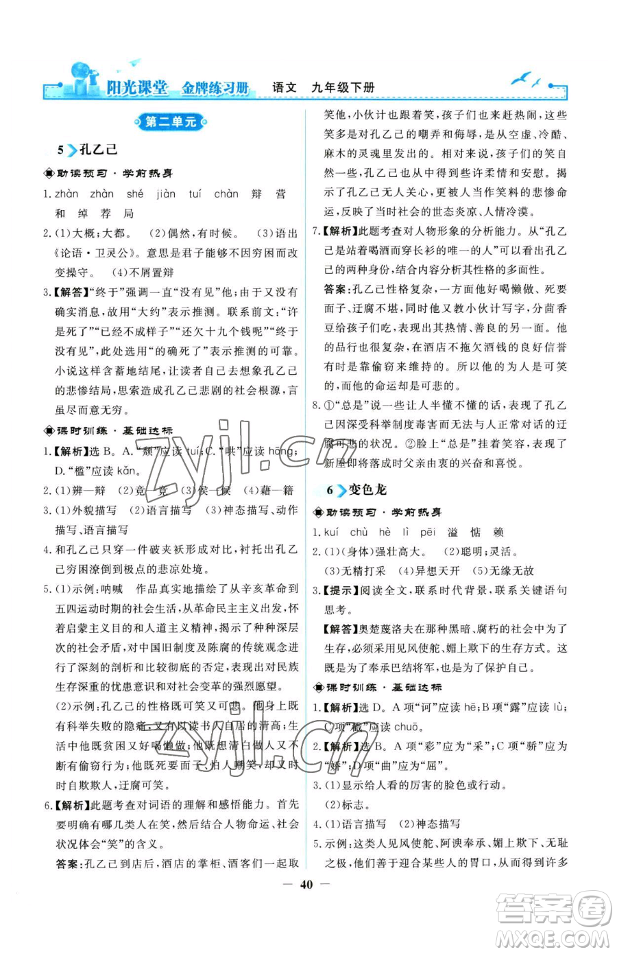 人民教育出版社2023陽(yáng)光課堂金牌練習(xí)冊(cè)九年級(jí)下冊(cè)語(yǔ)文人教版參考答案