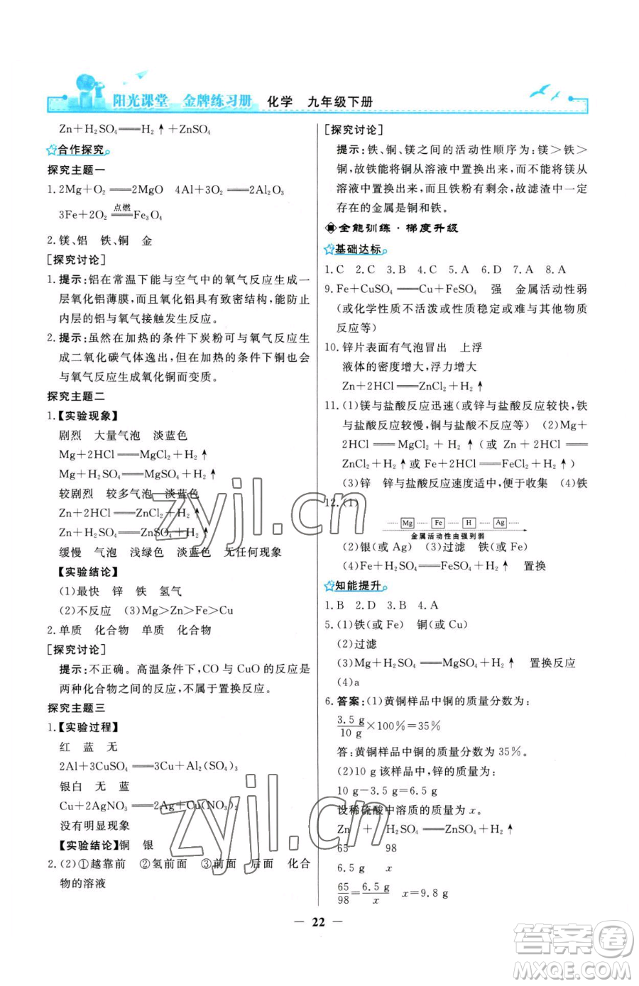 人民教育出版社2023陽光課堂金牌練習冊九年級下冊化學人教版參考答案