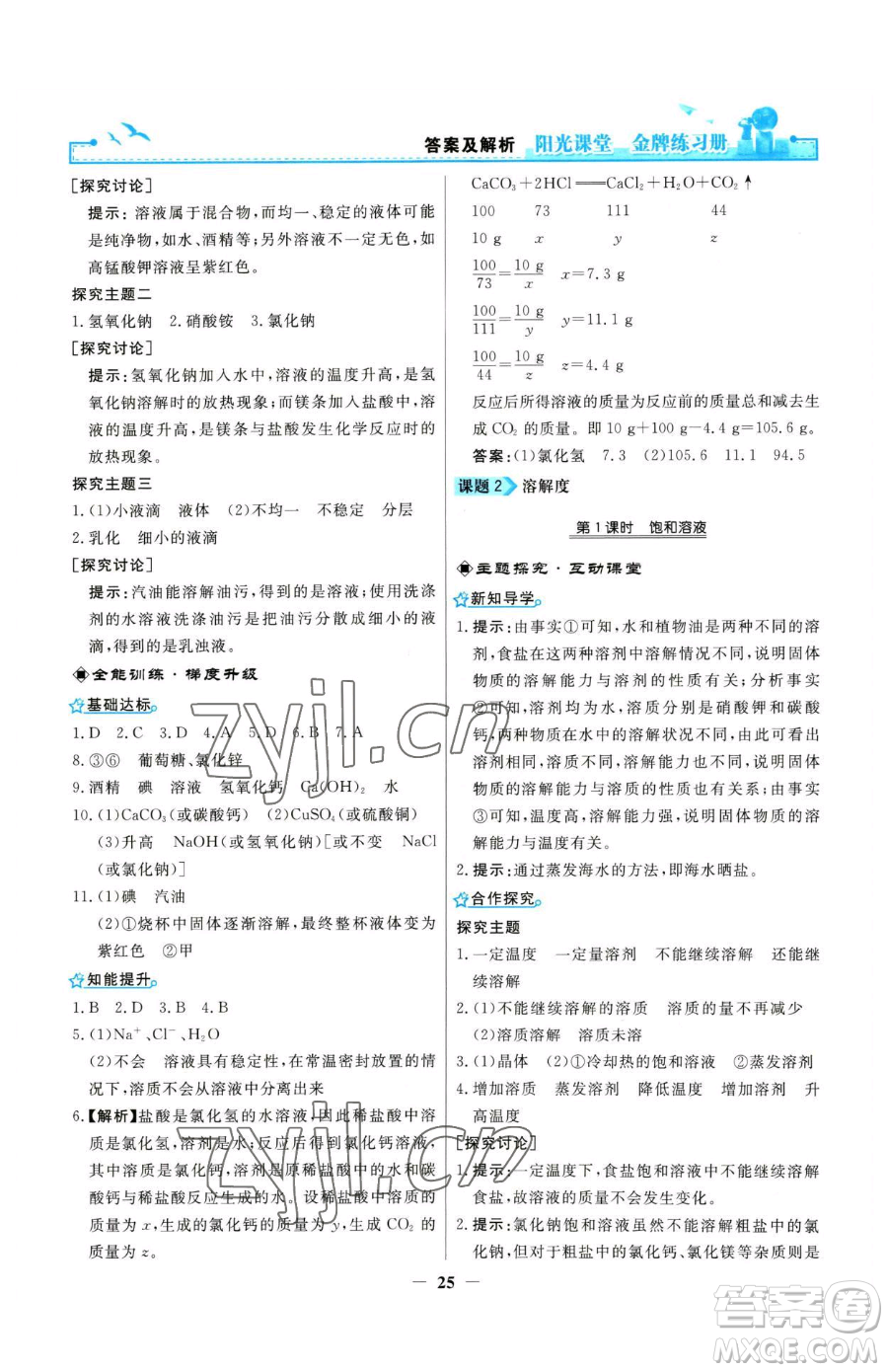 人民教育出版社2023陽光課堂金牌練習冊九年級下冊化學人教版參考答案