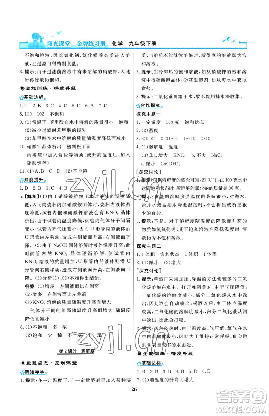 人民教育出版社2023陽光課堂金牌練習冊九年級下冊化學人教版參考答案