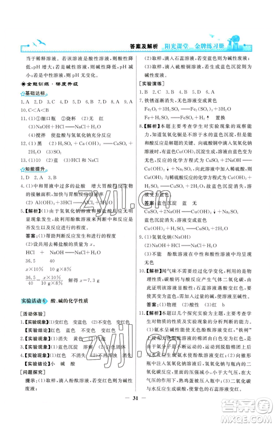 人民教育出版社2023陽光課堂金牌練習冊九年級下冊化學人教版參考答案