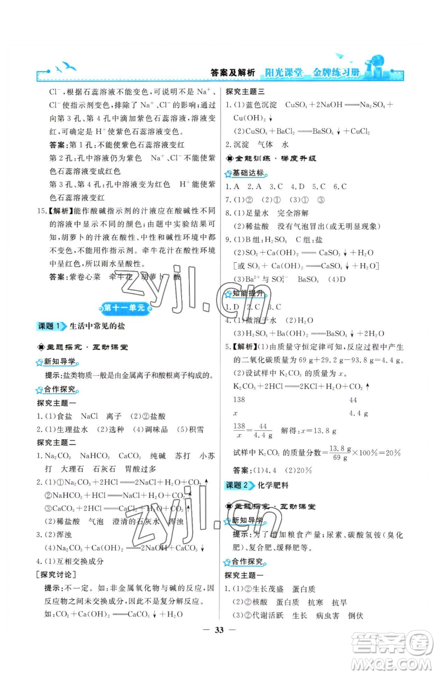 人民教育出版社2023陽光課堂金牌練習冊九年級下冊化學人教版參考答案