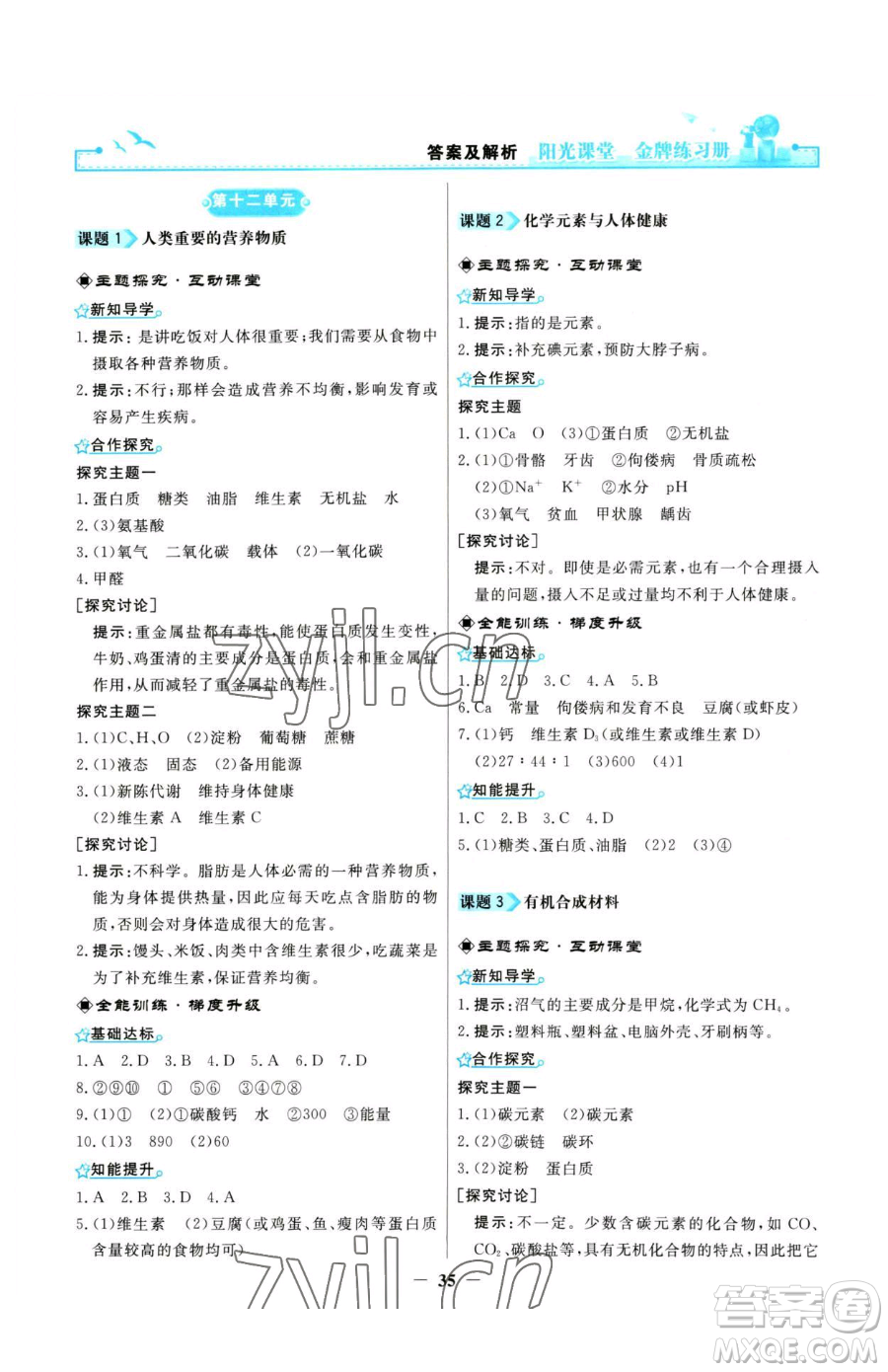 人民教育出版社2023陽光課堂金牌練習冊九年級下冊化學人教版參考答案