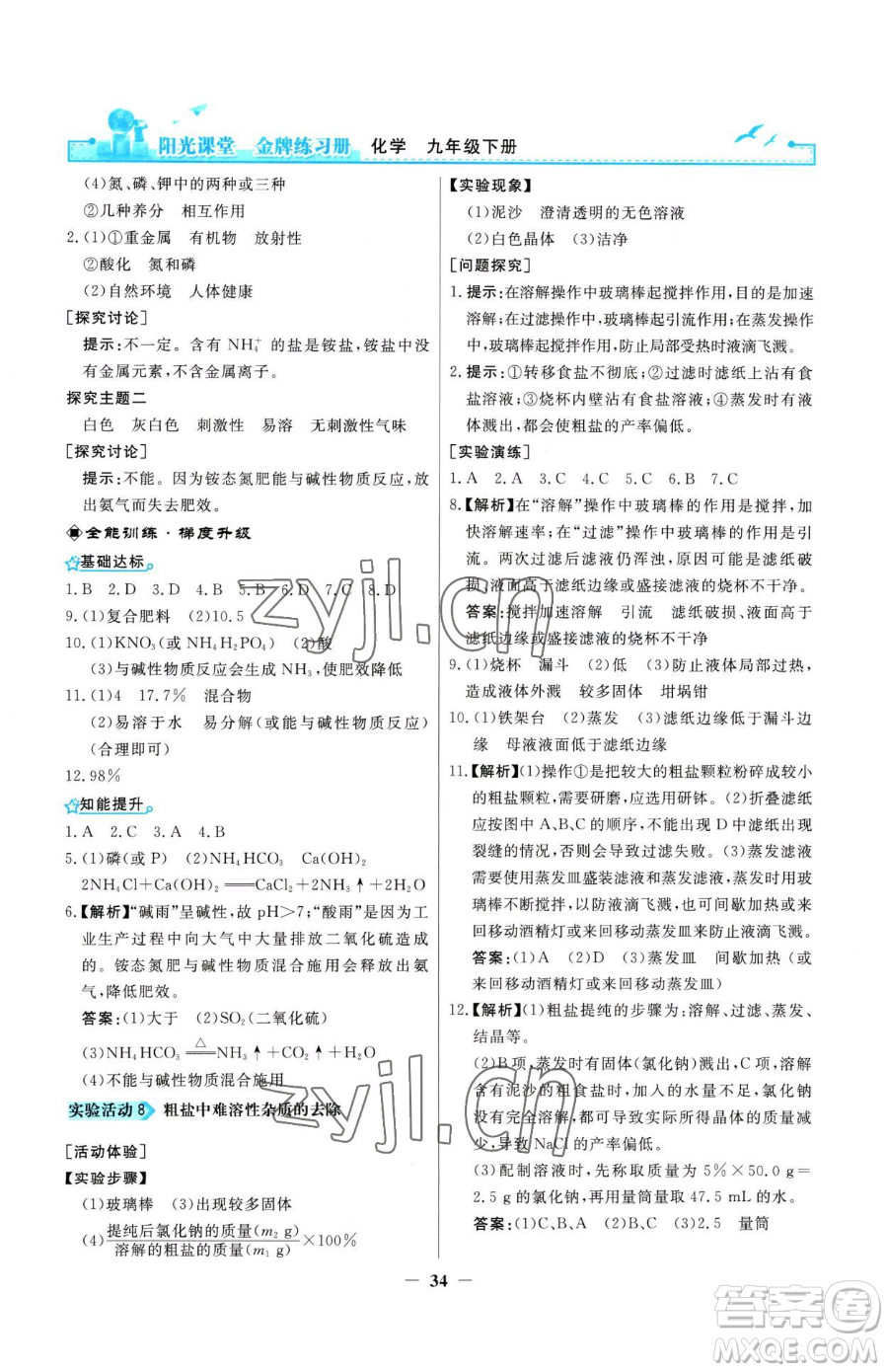 人民教育出版社2023陽光課堂金牌練習冊九年級下冊化學人教版參考答案