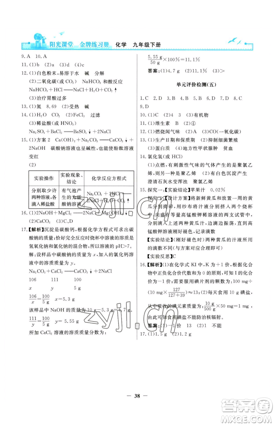 人民教育出版社2023陽光課堂金牌練習冊九年級下冊化學人教版參考答案