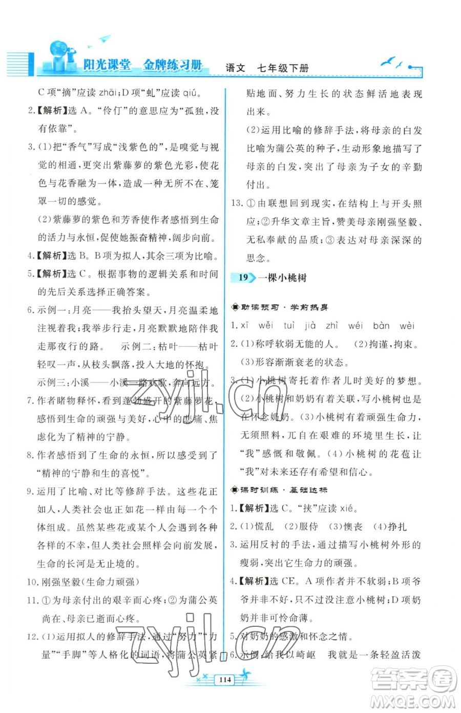 人民教育出版社2023陽光課堂金牌練習冊七年級下冊語文人教版福建專版參考答案