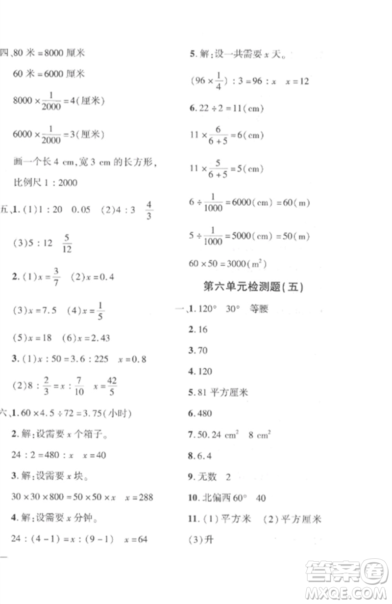 濟(jì)南出版社2023教育世家狀元卷六年級(jí)數(shù)學(xué)下冊(cè)人教版參考答案