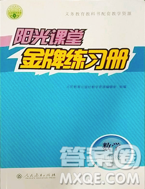 人民教育出版社2023陽光課堂金牌練習(xí)冊七年級下冊數(shù)學(xué)人教版參考答案