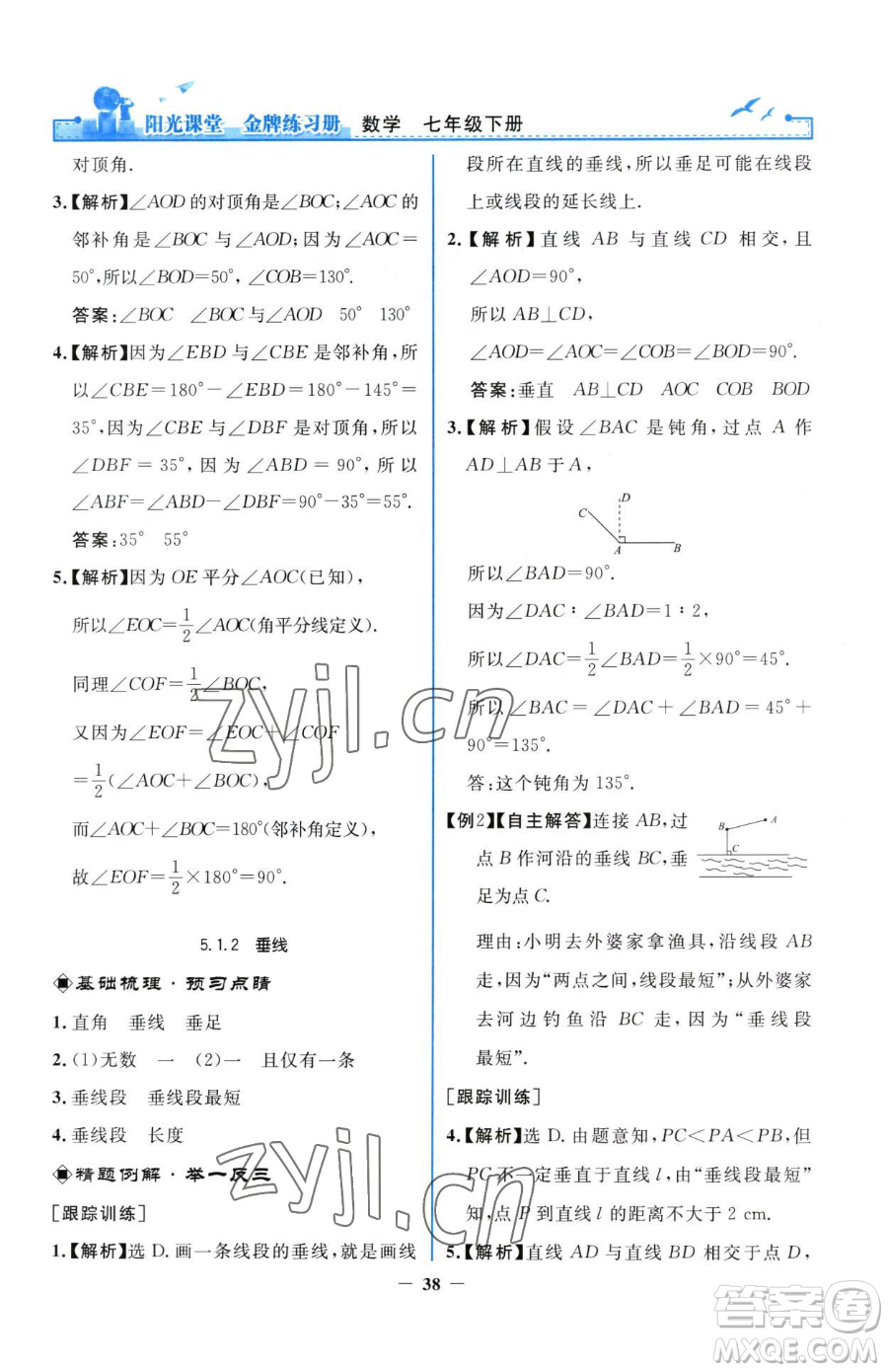 人民教育出版社2023陽光課堂金牌練習(xí)冊七年級下冊數(shù)學(xué)人教版參考答案