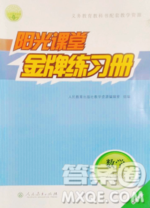 人民教育出版社2023陽光課堂金牌練習(xí)冊六年級下冊數(shù)學(xué)人教版福建專版參考答案