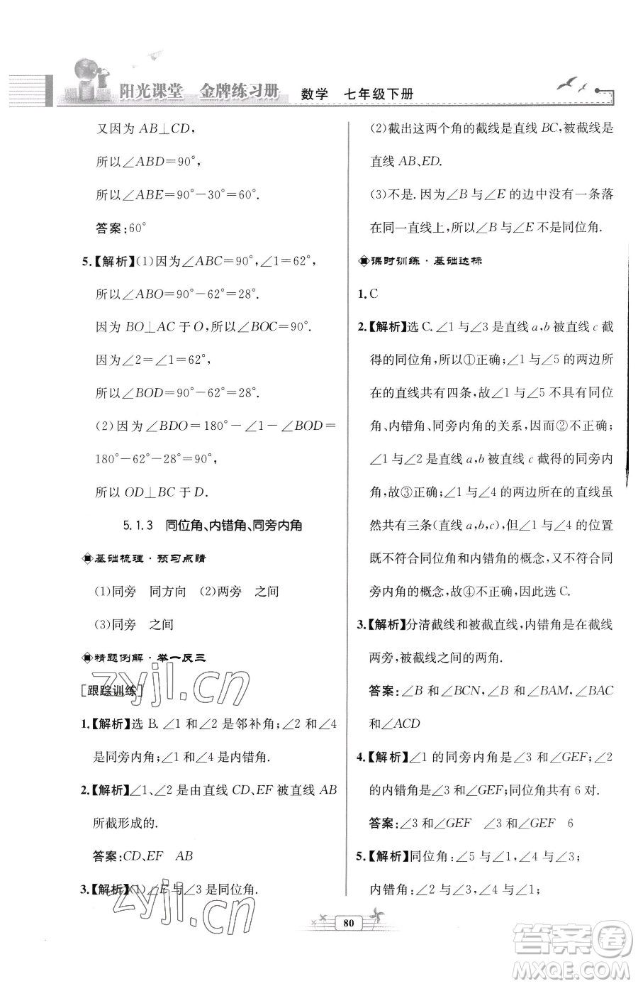 人民教育出版社2023陽光課堂金牌練習冊七年級下冊數(shù)學人教版福建專版參考答案