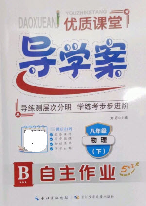 長江少年兒童出版社2023優(yōu)質課堂導學案B自主作業(yè)八年級物理下冊人教版參考答案