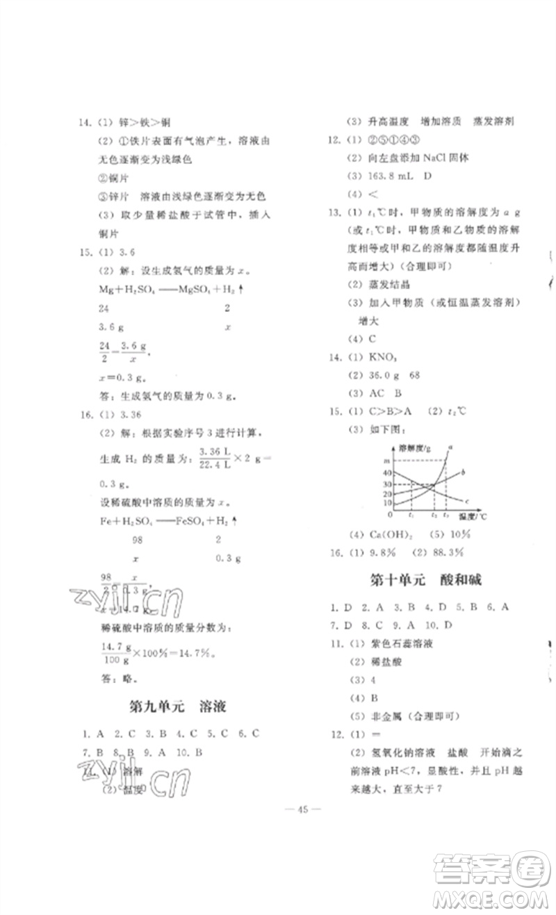 人民教育出版社2023同步輕松練習九年級化學總復(fù)習人教版參考答案