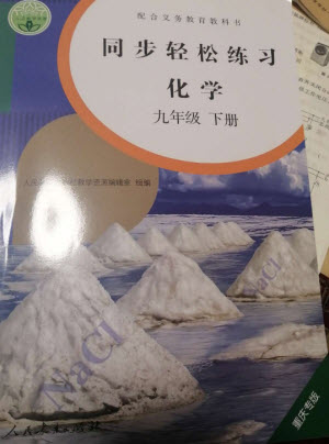 人民教育出版社2023同步輕松練習(xí)九年級(jí)化學(xué)下冊(cè)人教版重慶專版參考答案