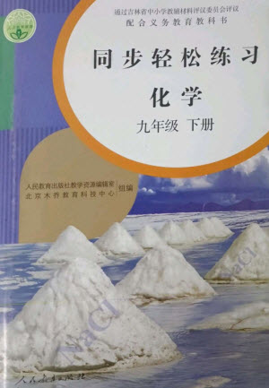 人民教育出版社2023同步輕松練習(xí)九年級(jí)化學(xué)下冊(cè)人教版參考答案