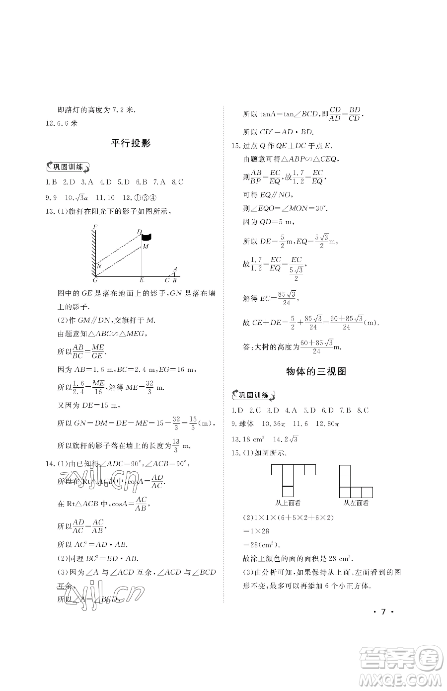 山東人民出版社2023初中卷行知天下九年級(jí)下冊(cè)數(shù)學(xué)青島版參考答案